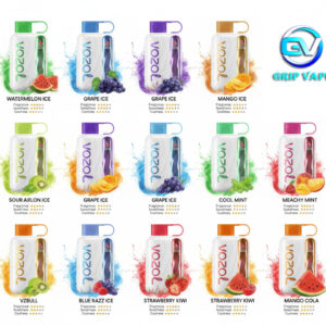 VOZOL STAR 40000 Puffs